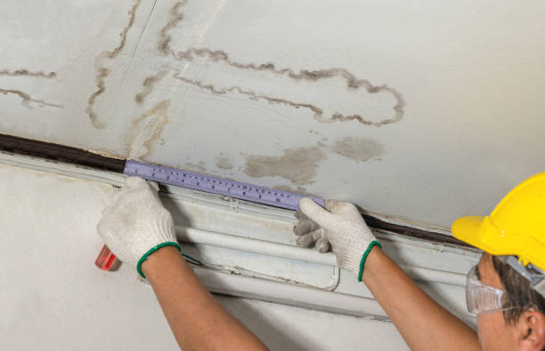 Reliable Water Damage contractor in Wyandotte, MI by Water Damage Irwin